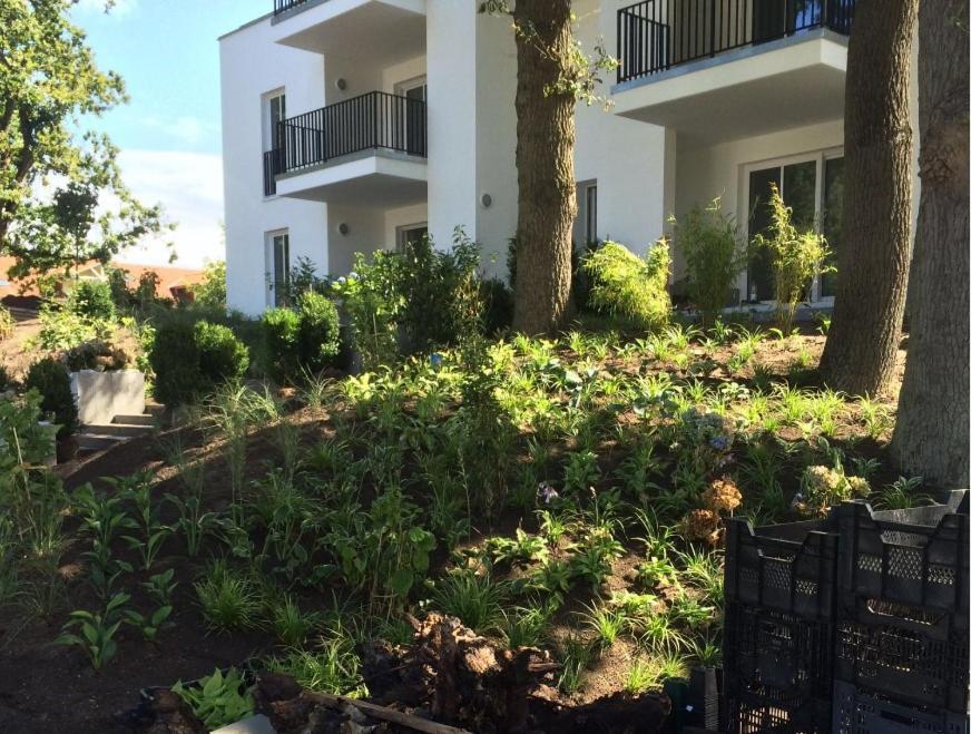 בינץ Villa Lindholm Wohnung 5 Penthouse מראה חיצוני תמונה